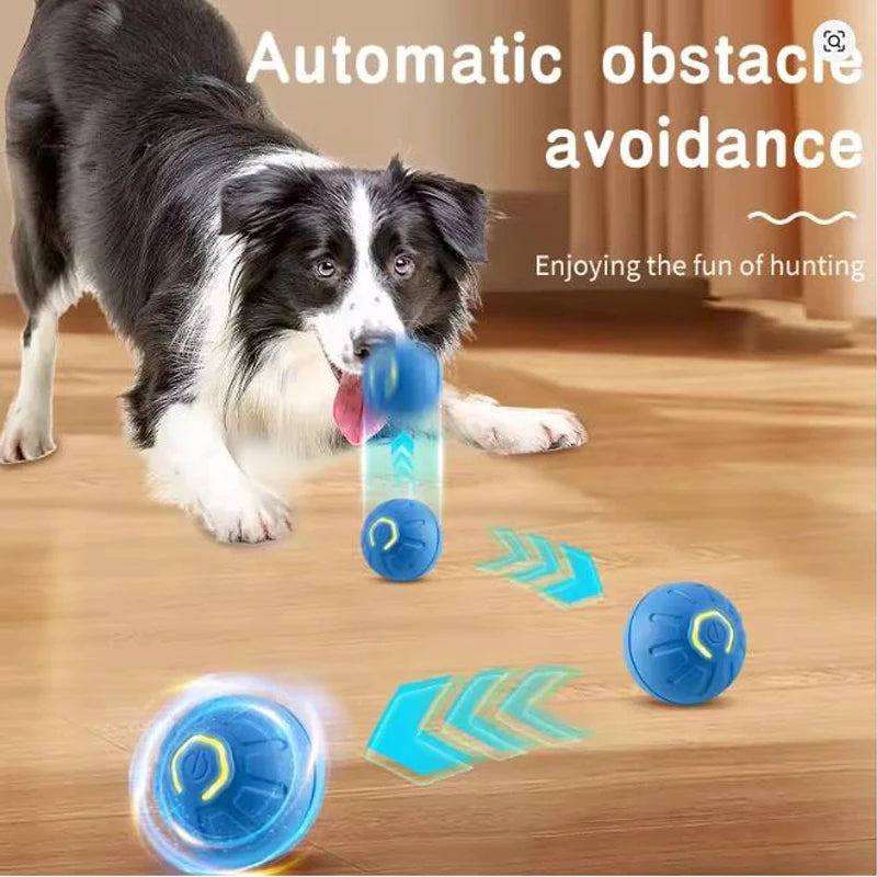 Interactive Pet Toy Ball | Automatic Moving Dog & Cat Toy for Fun Playtime 4