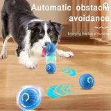 Interactive Pet Toy Ball | Automatic Moving Dog & Cat Toy for Fun Playtime 4