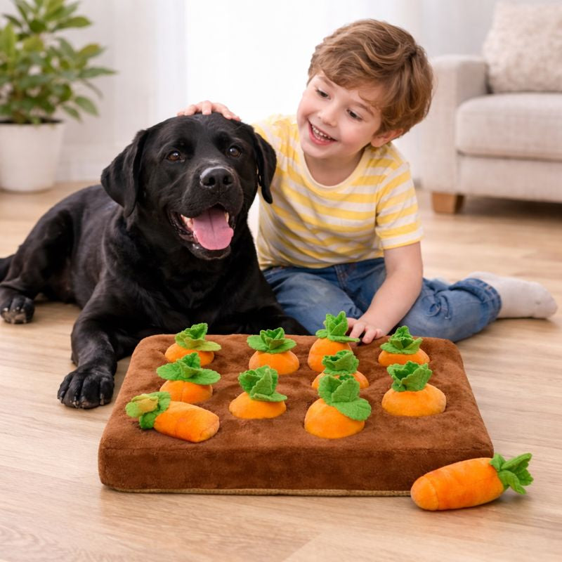 Interactive Snuffle Mat | Dog Puzzle Toy with Soft Base for Anxiety Relief 1