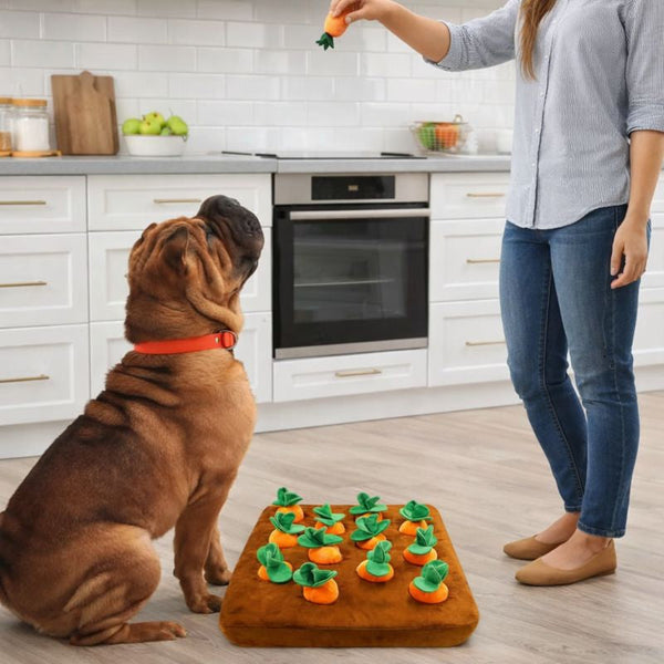 Interactive Snuffle Mat | Dog Puzzle Toy with Soft Base for Anxiety Relief 3