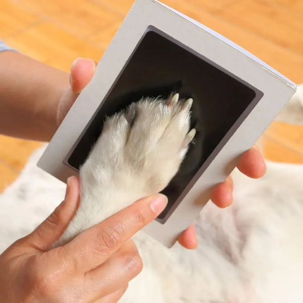 Paw Print Keepsake Kit | Inkless Pet Remembrance Ornament for Lasting Memories 2