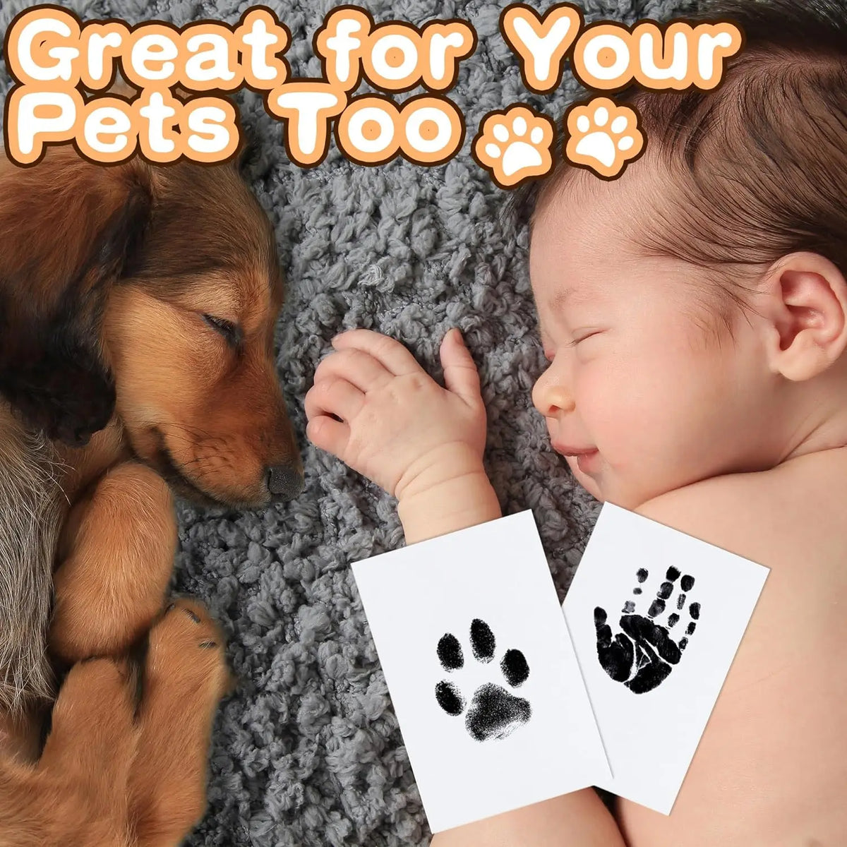 Paw Print Keepsake Kit | Inkless Pet Remembrance Ornament for Lasting Memories 4