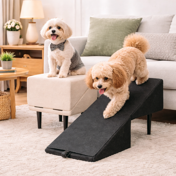 Pet Mobility Solutions | Dog Ramp & Stairs with Non-Slip Surface | Foldable Design for Easy Access to Beds and Cars 6