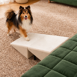 Pet Mobility Solutions | Dog Ramp & Stairs with Non-Slip Surface | Foldable Design for Easy Access to Beds and Cars 8
