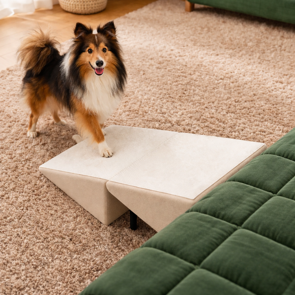 Pet Mobility Solutions | Dog Ramp & Stairs with Non-Slip Surface | Foldable Design for Easy Access to Beds and Cars 8