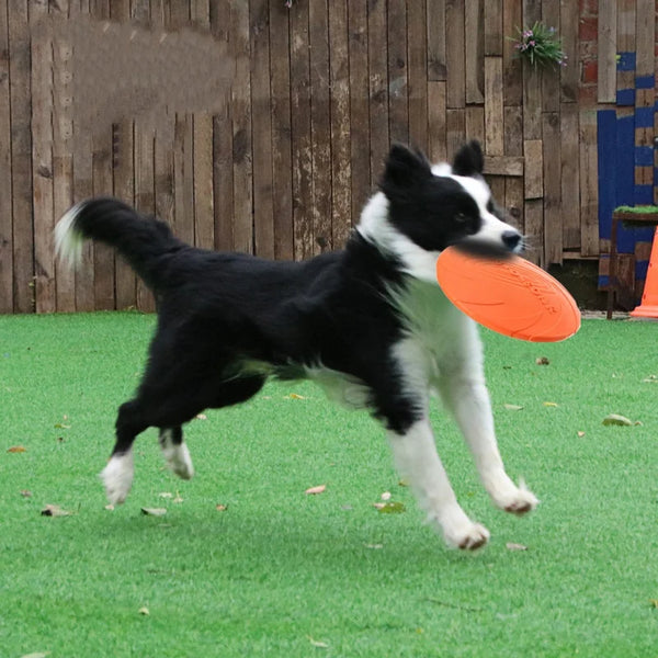 Rubber Flying Disc Dog Toy | Safe Interactive Fetch Toy for Dogs & Cats