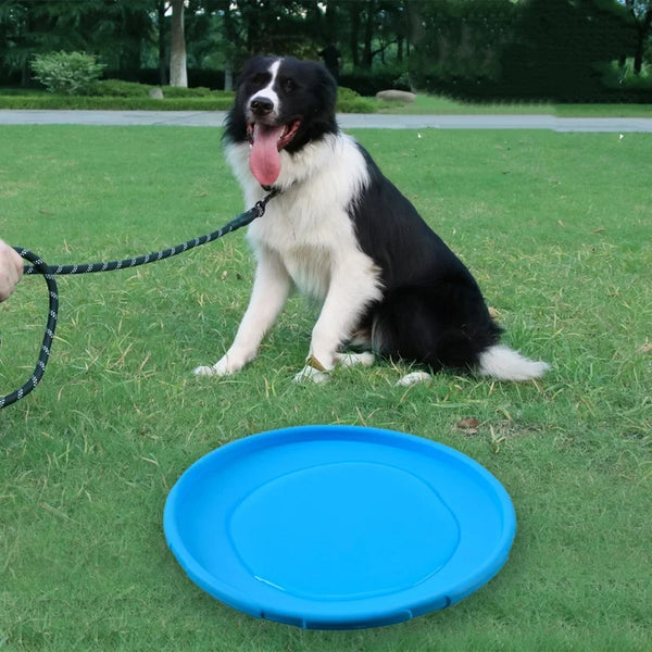 Rubber Flying Disc Dog Toy | Safe Interactive Fetch Toy for Dogs & Cats