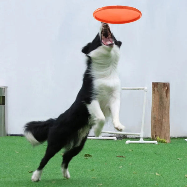 Rubber Flying Disc Dog Toy | Safe Interactive Fetch Toy for Dogs & Cats