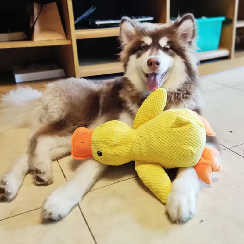 Playful Plush Duck | Bite-Resistant Dog Toy for Large Breeds | Interactive Fun and Dental Care 2