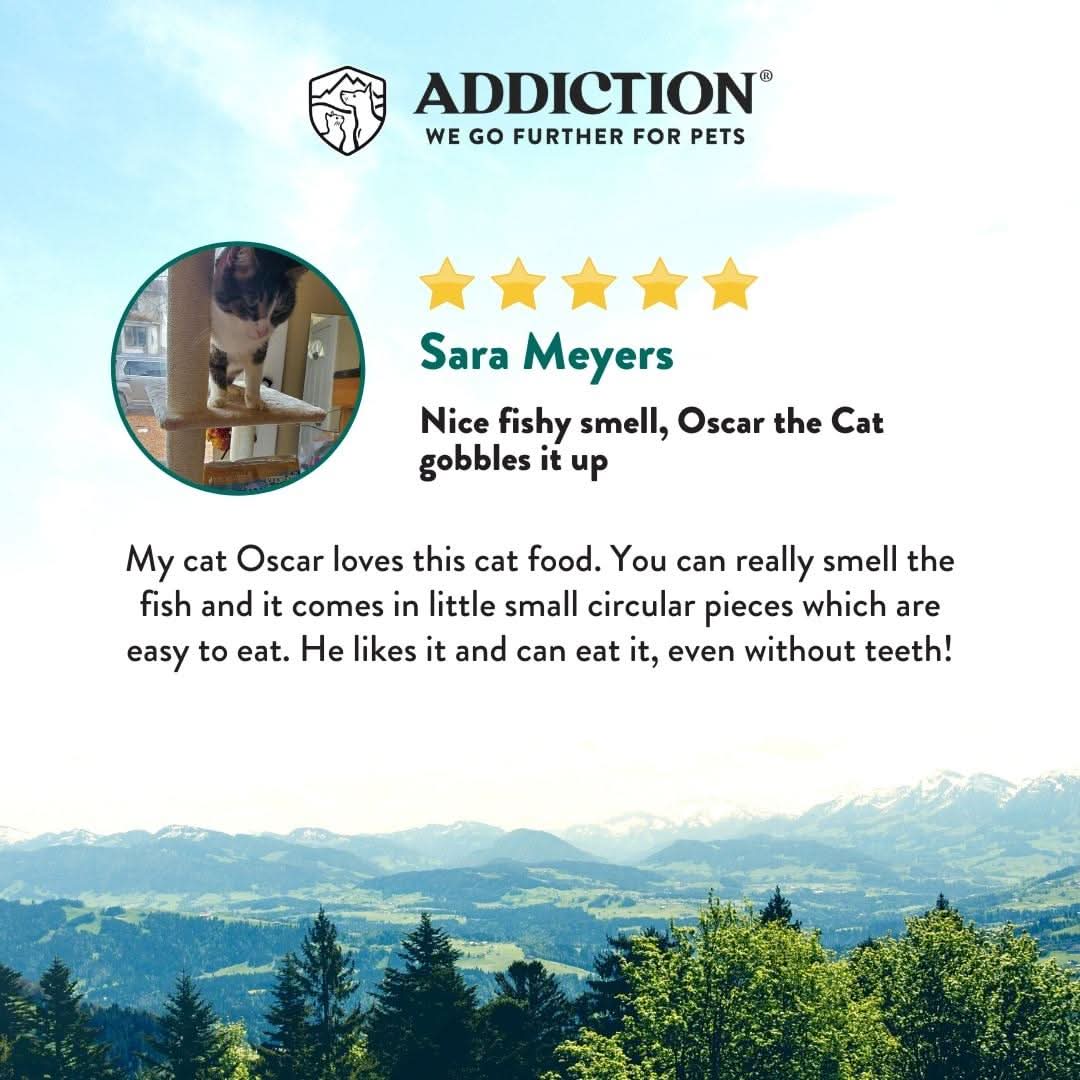 Salmon Bleu Dry Cat Food