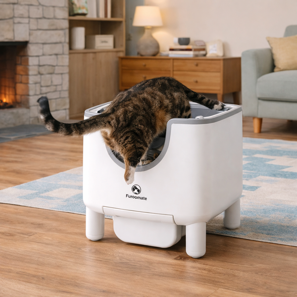 Smart Cat Litter Box | Automatic Self-Cleaning with Odor Control | Open-Top Design for Stress-Free Use 2