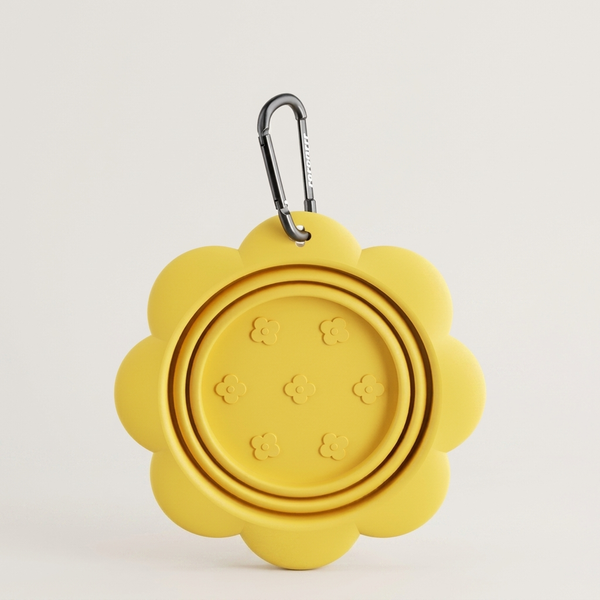 Collapsible Silicone Dog Travel Bowl with Carabiner | Foldable Pet Bowl for Walks & Camping