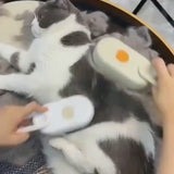 1.mp4